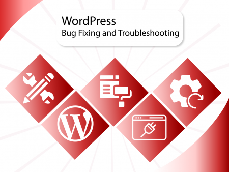 Bug Fixing and Troubleshooting